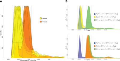 Management of genetic erosion: The (successful) case study of the pear (Pyrus communis L.) germplasm of the Lazio region (Italy)